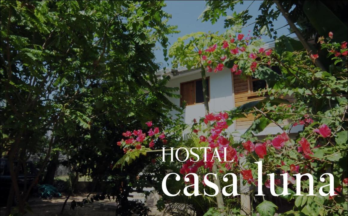 Hostal Casaluna San Andres Luaran gambar