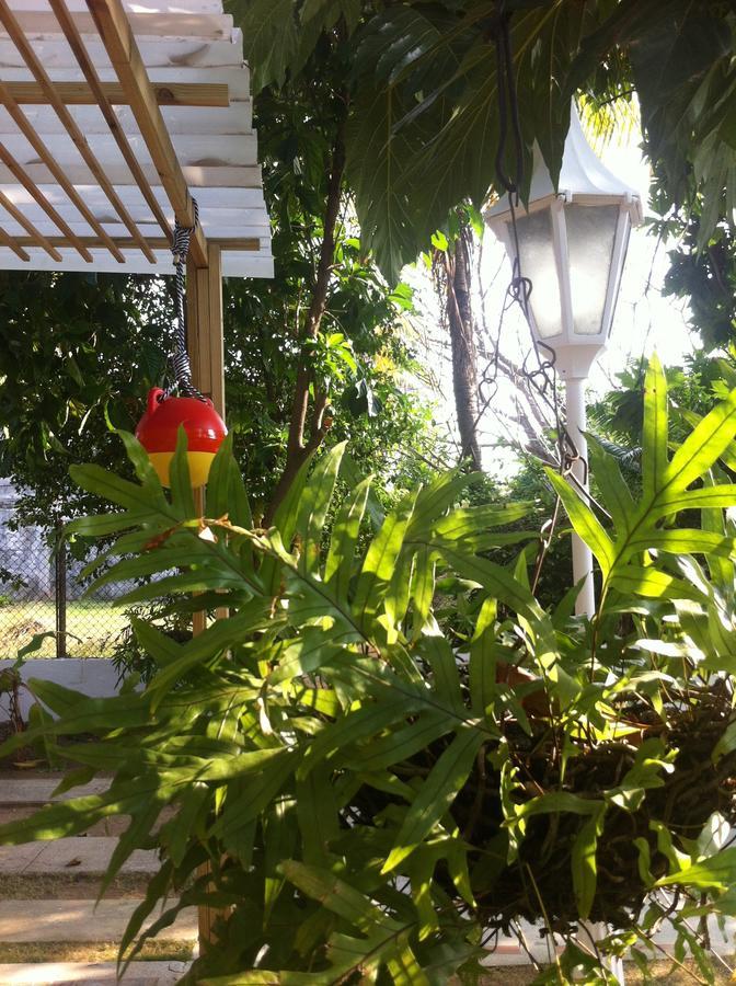 Hostal Casaluna San Andres Luaran gambar